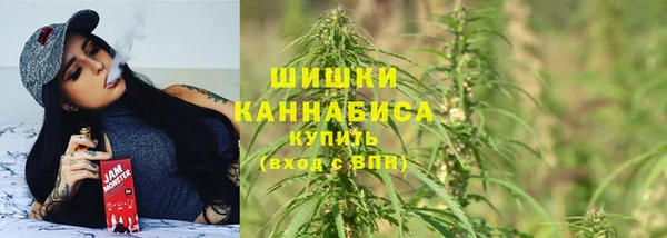 стаф Горнозаводск