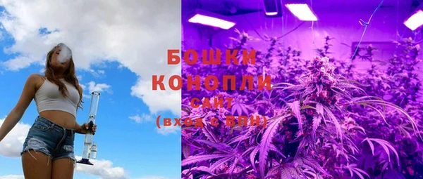стаф Горнозаводск