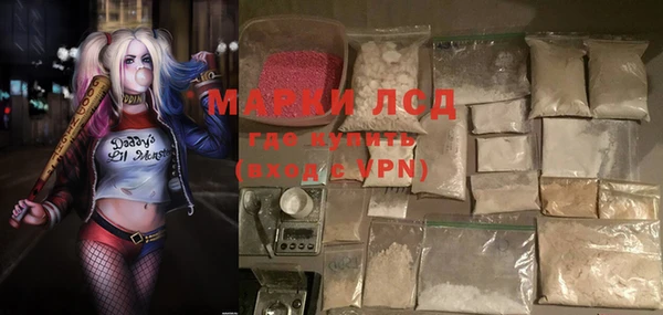 стаф Горнозаводск
