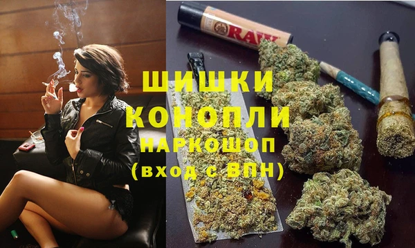mdpv Горно-Алтайск